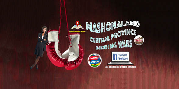 Mashonaland Central Province Bidding Wars (Facebook Auction)