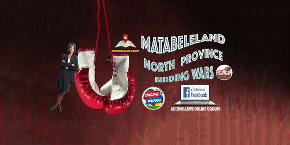 Matabeleland North Province Bidding Wars (Facebook Auction)