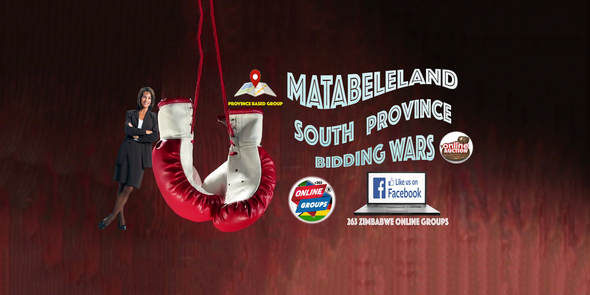 Matabeleland South Province Bidding Wars (Facebook Auction)