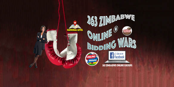 263 Zimbabwe Online Bidding Wars (Facebook Auction)